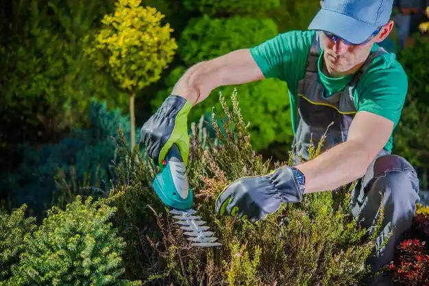 landscaping services Almont